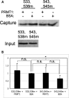 Figure 6.