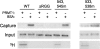Figure 5.