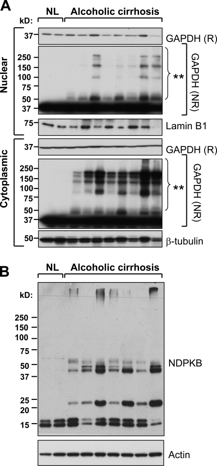 Figure 9.