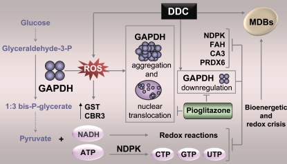 Figure 10.