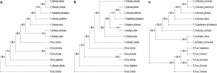 FIG. 4.