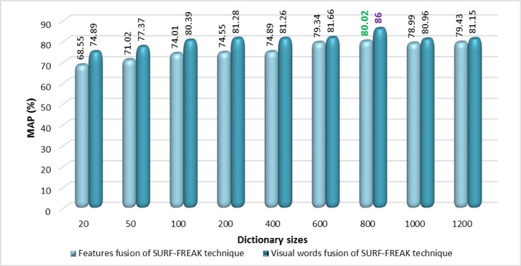 Fig 6