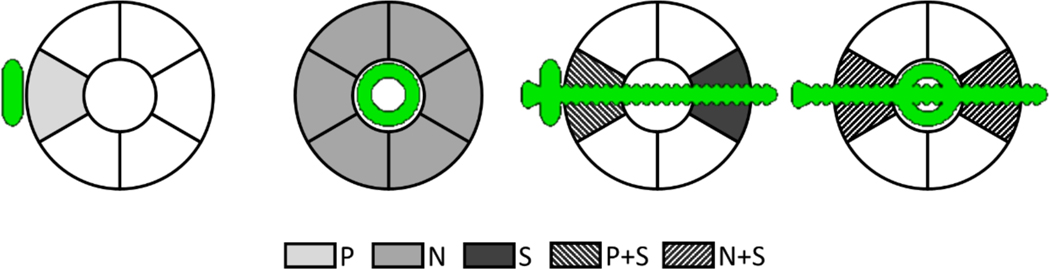 Figure 5.