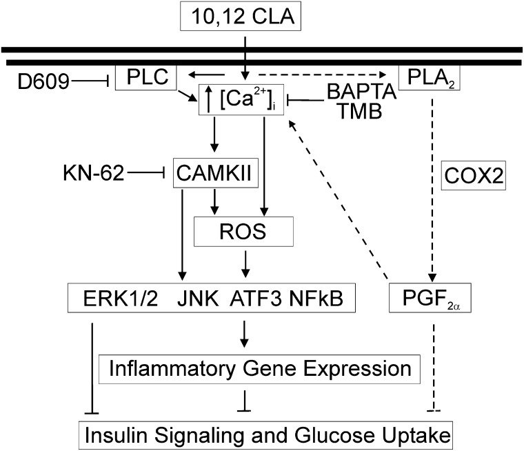 Fig. 8.