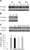 Fig. 6.