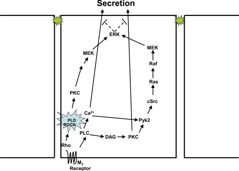 Figure 9.