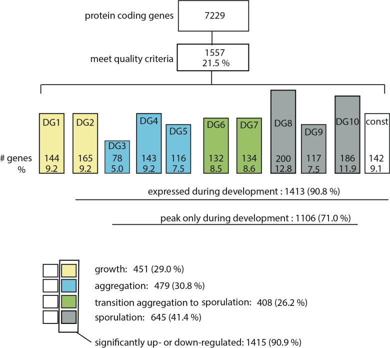 Figure 3—figure supplement 2.