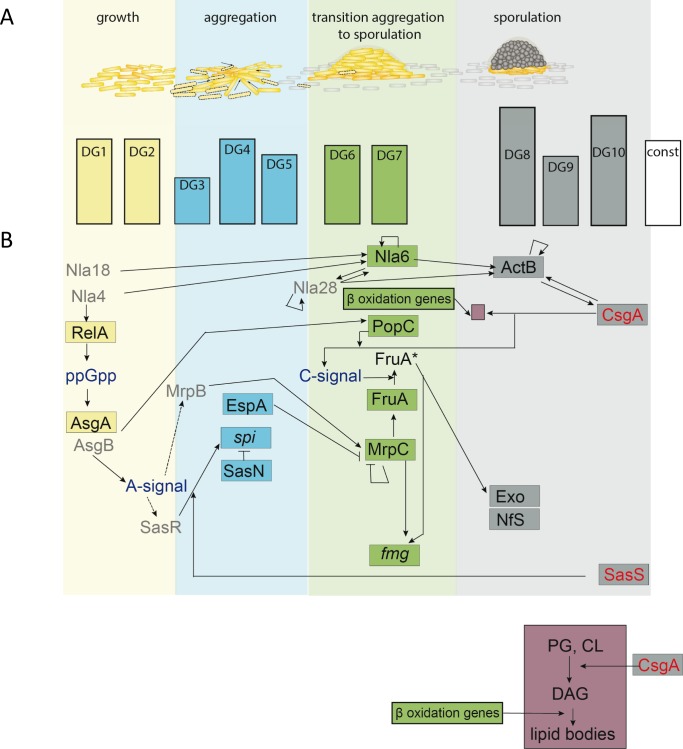 Figure 3—figure supplement 4.