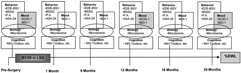 Figure 1: