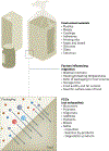 Fig. 2 |