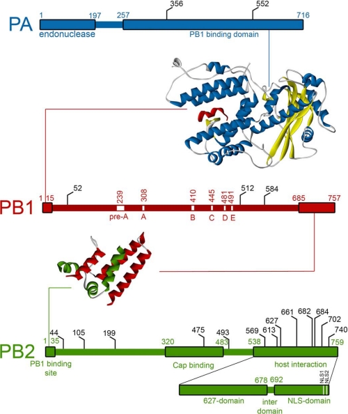 FIGURE 2.