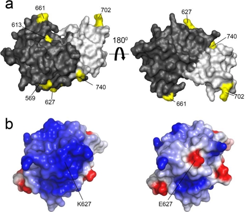 FIGURE 4.