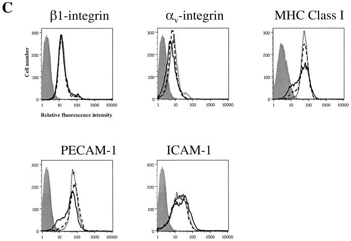 FIG. 6.