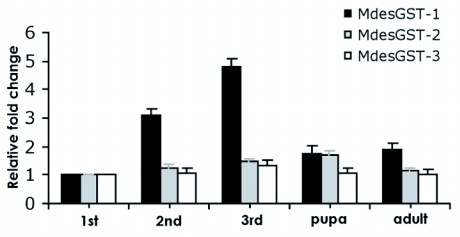 Figure 3. 