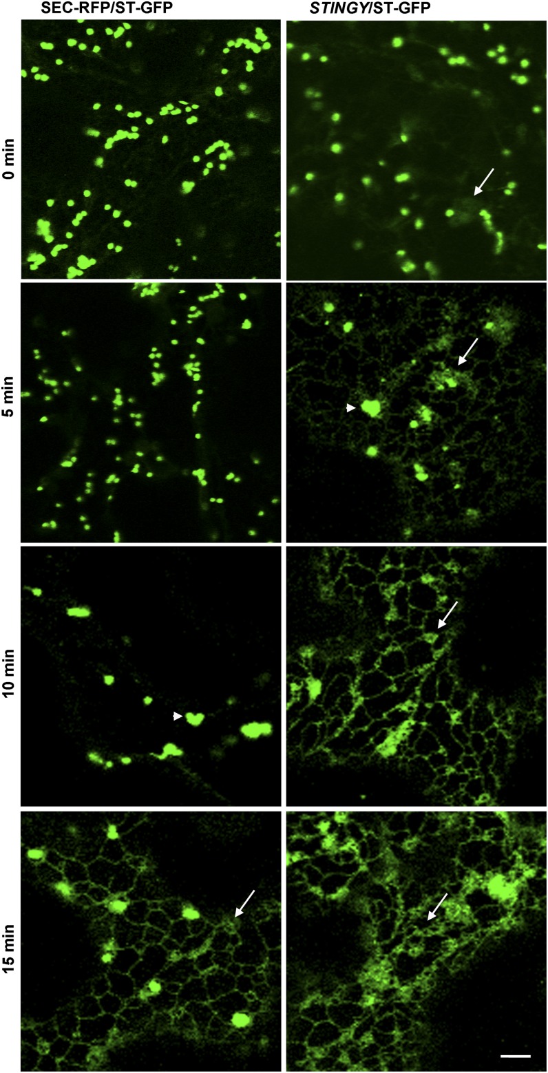 Figure 6.