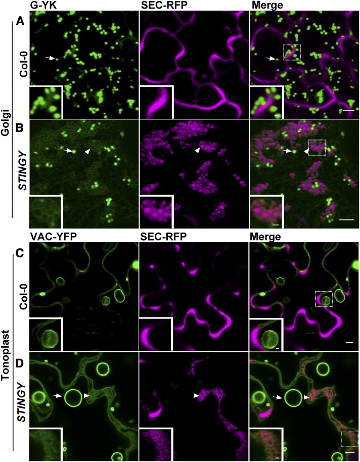 Figure 3.