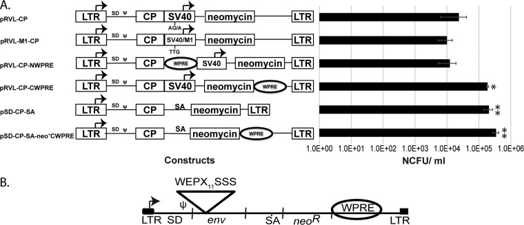 FIG 1