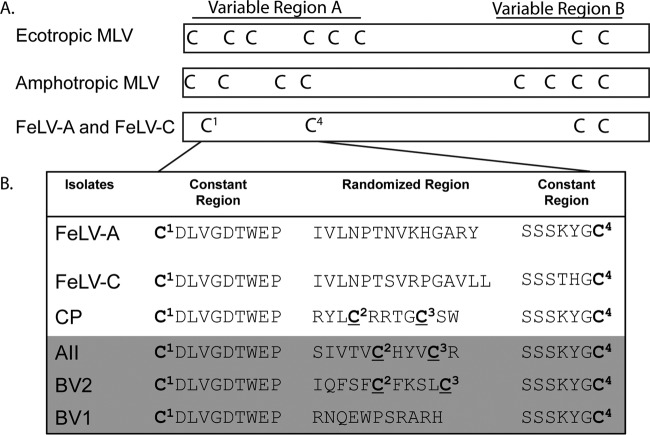 FIG 2