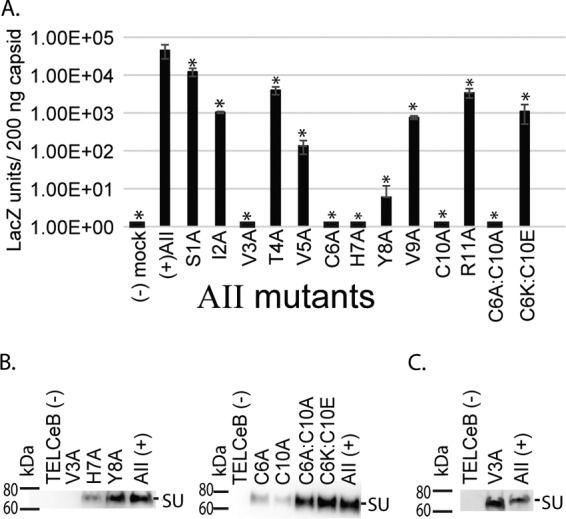 FIG 4