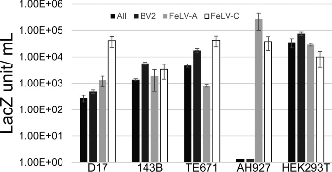 FIG 3