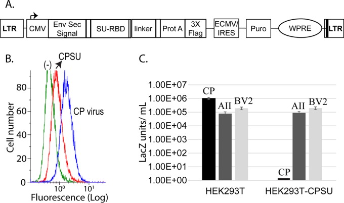 FIG 6