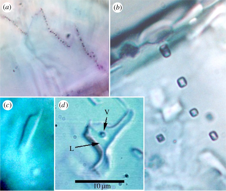 Figure 2.