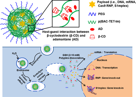 graphic file with name nihms-1029088-f0001.jpg