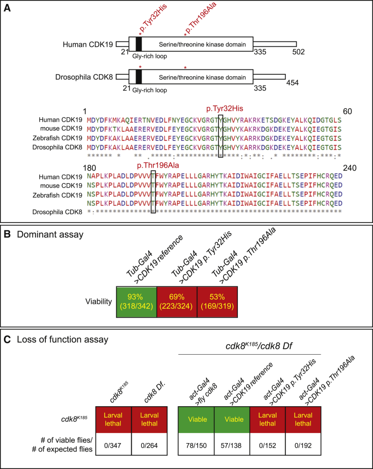 Figure 2