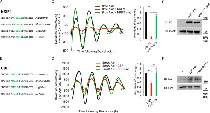 Figure 7.