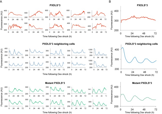 Figure 3.