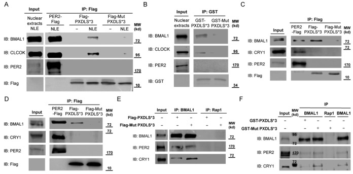 Figure 4.