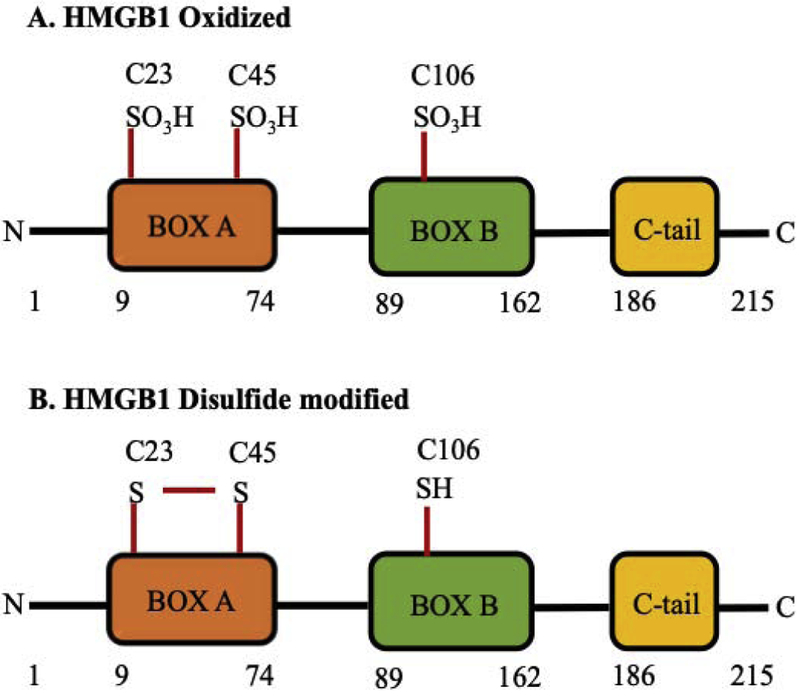 Figure 2: