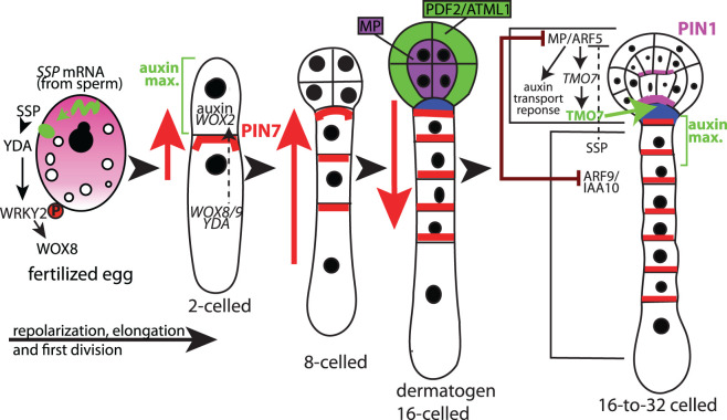 Figure 2.