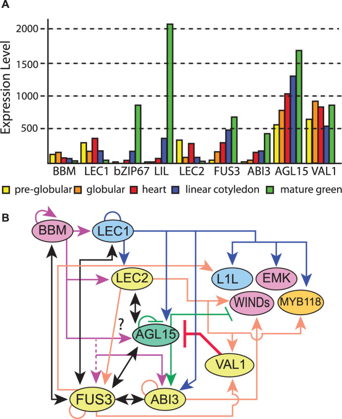 Figure 5.