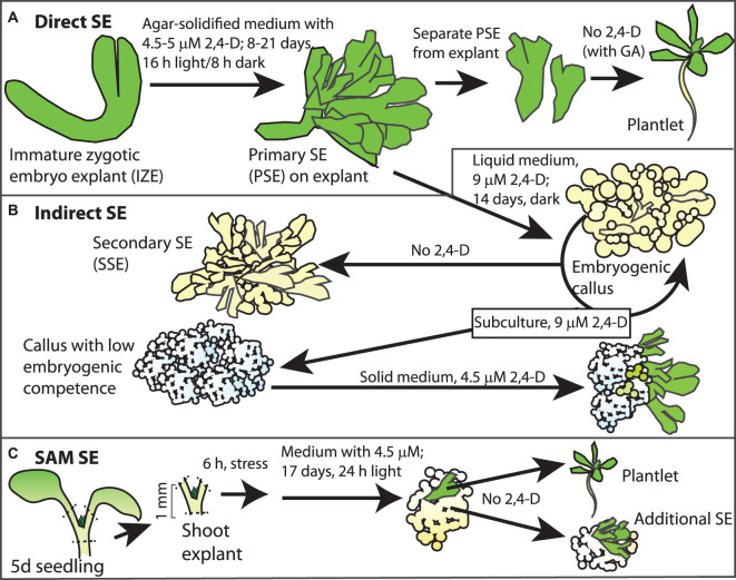 Figure 4.