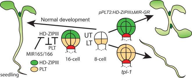 Figure 3.