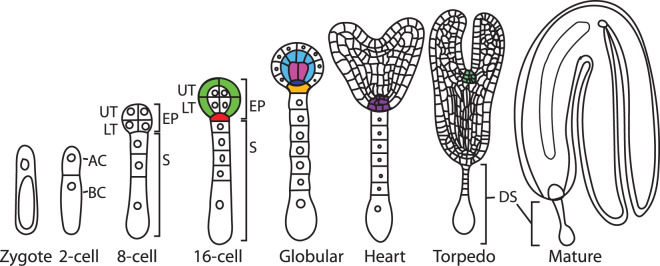 Figure 1.