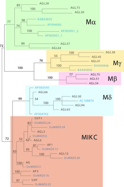 Figure 7.