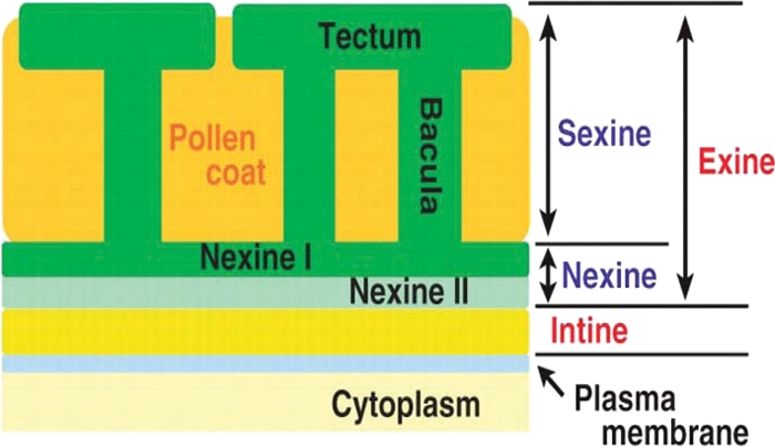 Fig. 4