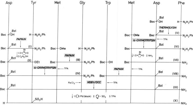 graphic file with name pnas00448-0106-a.jpg