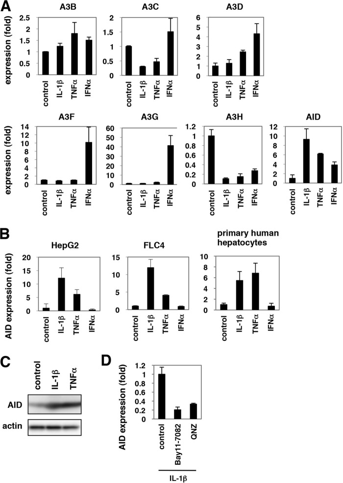 FIGURE 4.