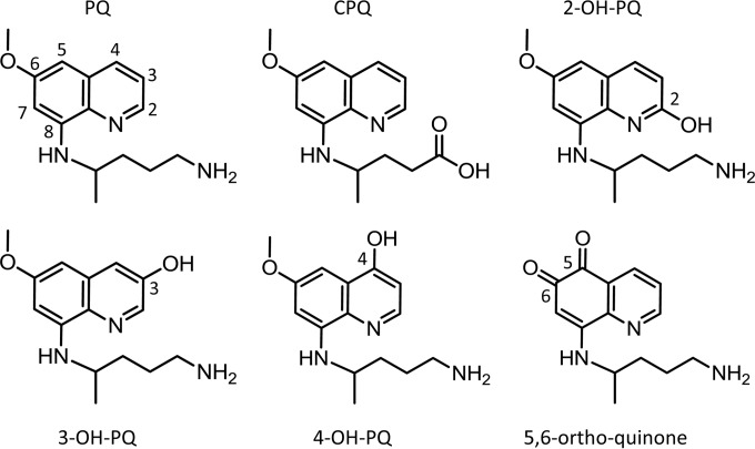 FIG 1