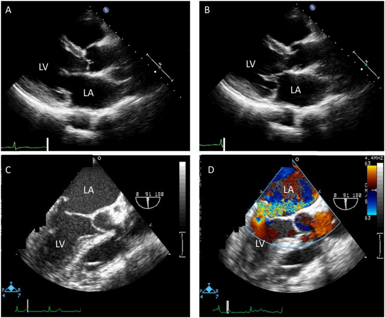 Figure 1.