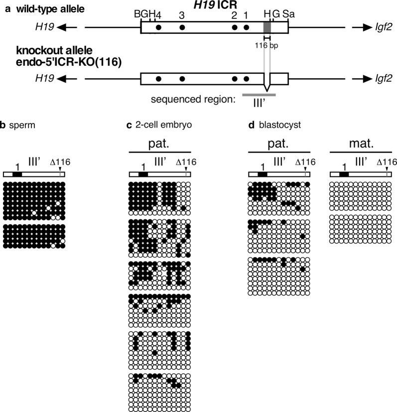 Fig. 4