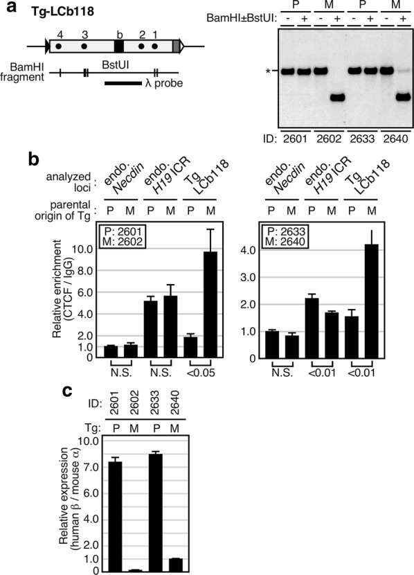 Fig. 6