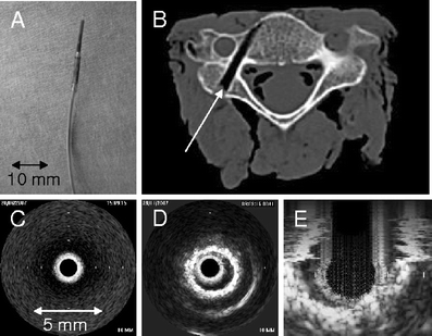 Fig. 1