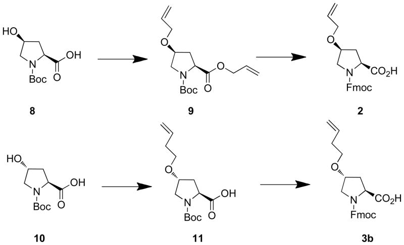 Scheme 2