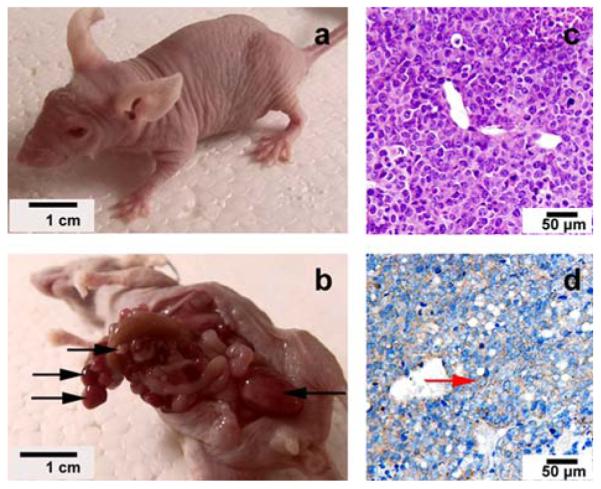 Figure1