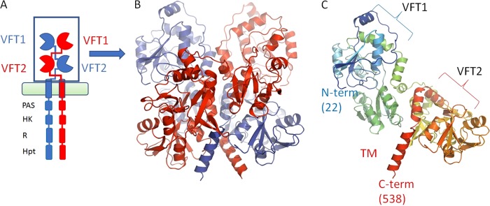 FIG 1