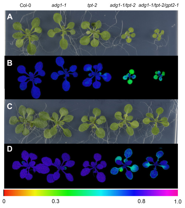 Figure 10